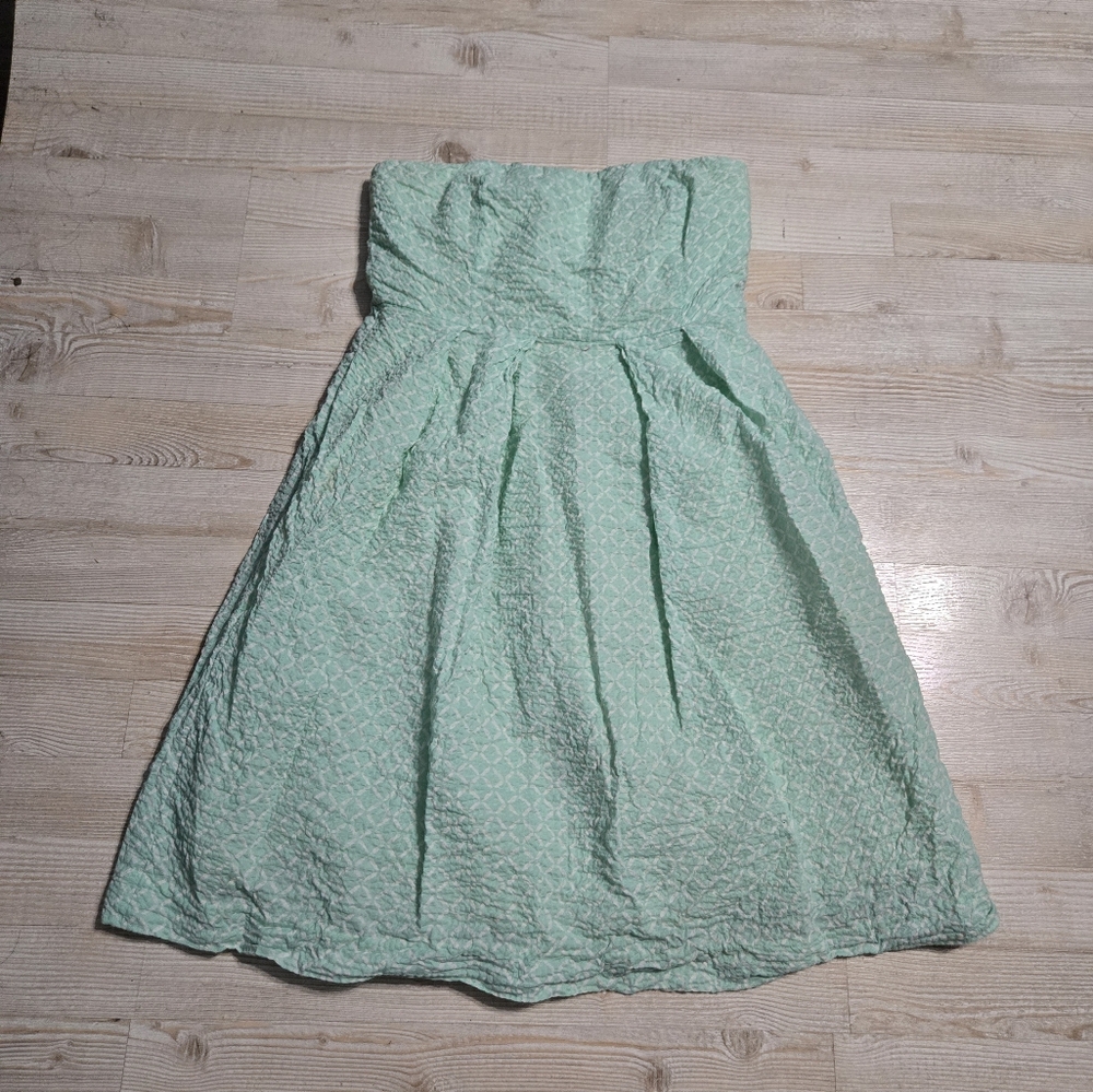 J. Crew Size 8 Womens Dress